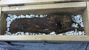 Mumie mit dem Bodenscanner eXp 5000 im Irak entdeckt